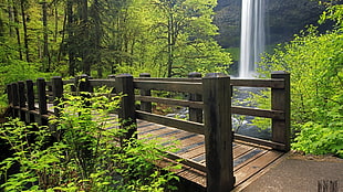 brown wooden bridge beside water falls