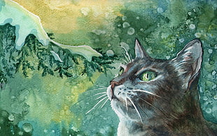 gray short coated cat painting
