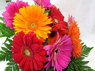assorted flowers decoration