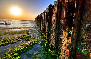 rusty metal dock covered with moss during sunset