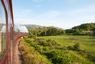 brown train at the railways during daytime