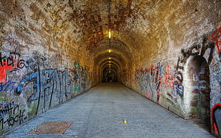 brown and white concrete tunnel with graffitis, architecture, tunnel, Germany, arch