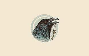 black crow illustration HD wallpaper