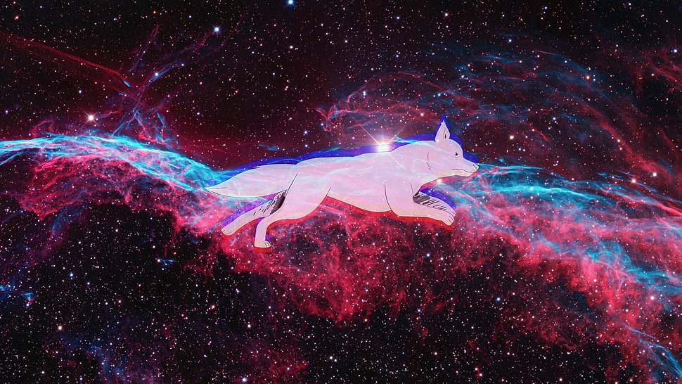 white dog illustration, space, dog, Veil Nebula HD wallpaper
