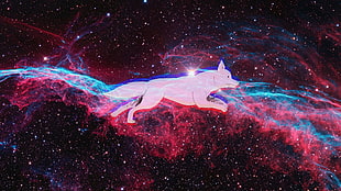 white dog illustration, space, dog, Veil Nebula