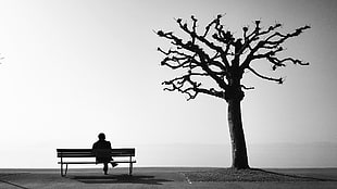 grayscale photography of person sitting on bench near dead tree