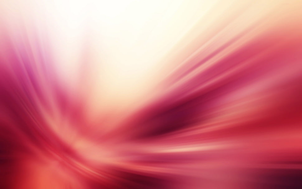 white and pink digital wallpaper HD wallpaper