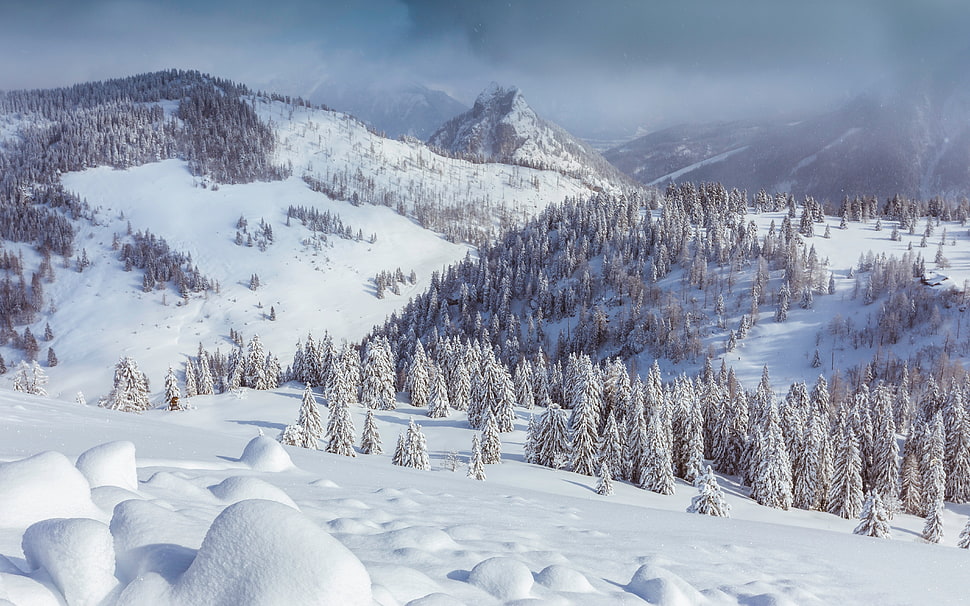 snow mountain, nature, snow, trees, landscape HD wallpaper