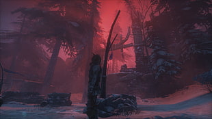 black bare tree with red sky illustration, screen shot, Lara Croft, Rise of the Tomb Raider, video games