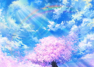 pink cherry blossoms under cloudy sky illustration