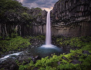 waterfalls, waterfall, Iceland, column, shrubs
