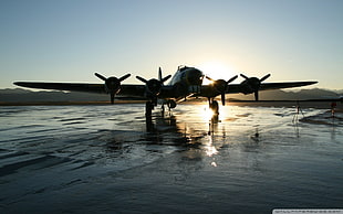 gray plane, Boeing B-17 Flying Fortress, airplane, star engine HD wallpaper