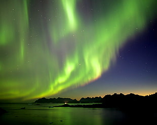 aurora borealis, night, aurorae, aurora  borealis HD wallpaper