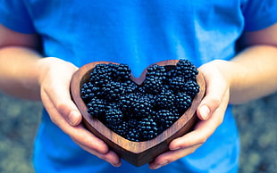 person holding heart-shaped bowl filled with blueberries