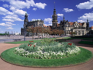 white and red petaled flowers and grey concrete buildings, architecture, city, Dresden, cityscape