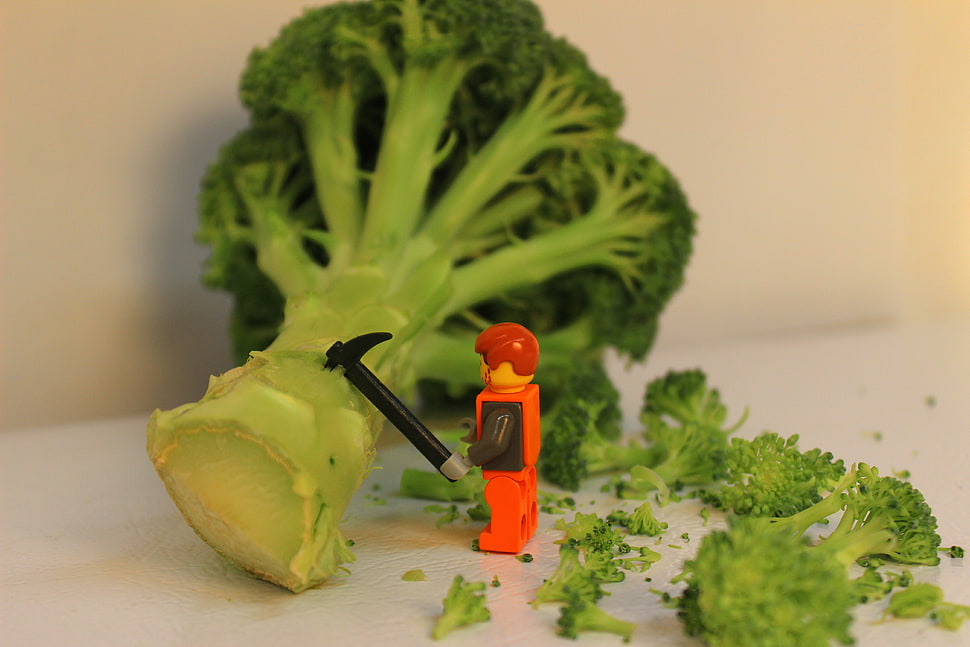 green broccoli, photography, LEGO, vegetables HD wallpaper