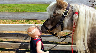 boy in black and red tank top kissing brown horse near wooden fence