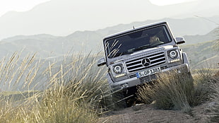 black and gray Ford car, Mercedes G-Class, car, vehicle, Mercedes Benz