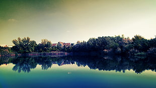 panoramic photography of body of water with trees beside it
