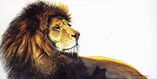 brown lion photo, lion, painting, animals, artwork