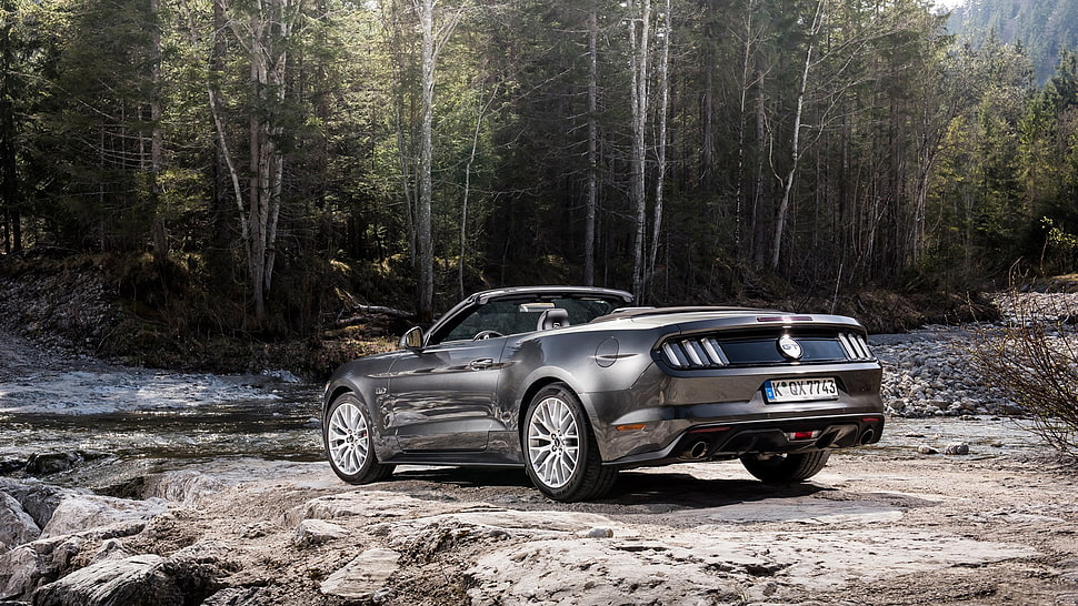 black Ford Mustang coupe, Ford Mustang, car, Convertible, forest HD wallpaper