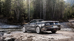 black Ford Mustang coupe, Ford Mustang, car, Convertible, forest