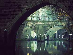 photography of arch bridges, Hamburg, Germany, water, bicycle