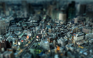 shallow focus photo of city skyline