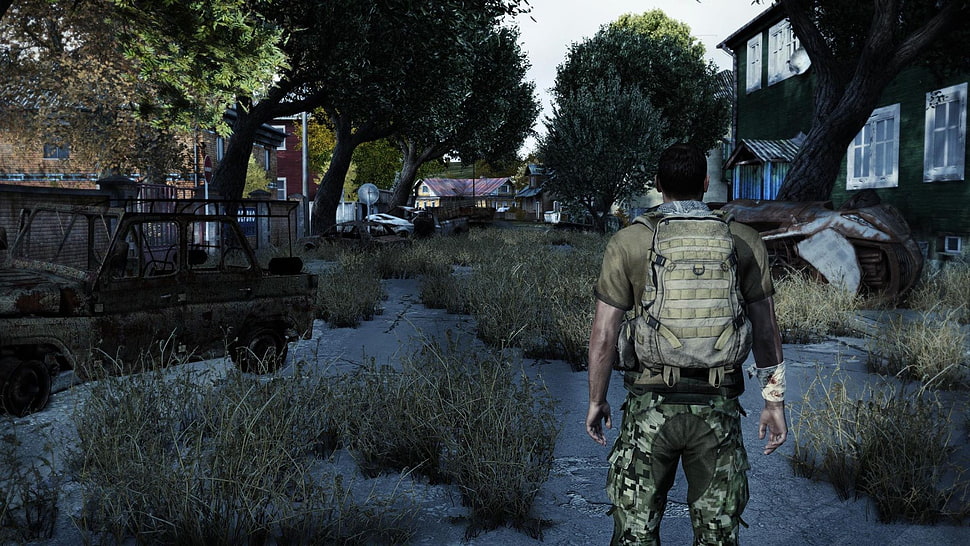 game application digital wallpaper screenshot, DayZ HD wallpaper