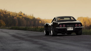 black coupe, Chevrolet Corvette, C3, car