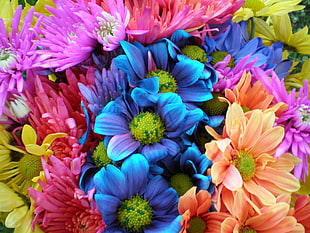 bouquet of flowers, daisies