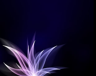 purple flower illustration HD wallpaper