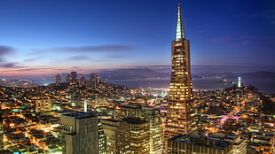 gray concrete high-rise building, cityscape, San Francisco, USA, night HD wallpaper