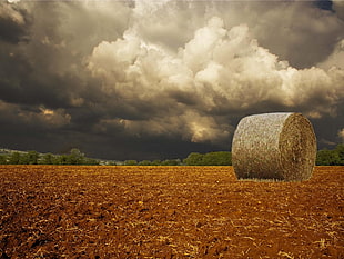 brown hays, nature, haystacks, clouds, overcast