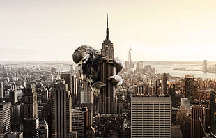 King Kong movie still, sloths, city HD wallpaper