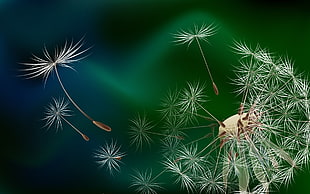 Dandeliion illustration with green and blue night background