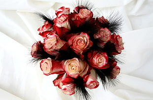 shallow photography of bouquet of red roses ]