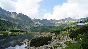 green mountain, mountains, Tatra, Poland, Tatra Mountains HD wallpaper
