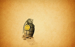brown grenade, grenades, emoticons HD wallpaper