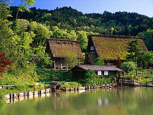 brown wooden house, landscape, nature, house, lake