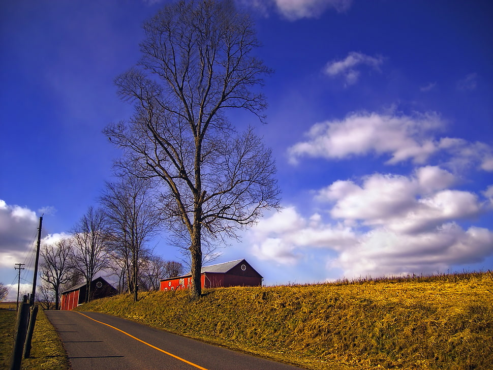 red barn houses beside a road with trees under a blue cloudy sky HD wallpaper