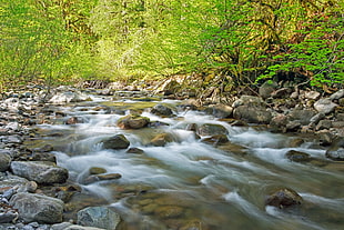 photo of river in mountain