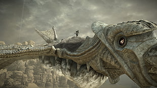 game application digital wallpaper, video games, Shadow of the Colossus