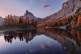 brown mountain, lake, mountains, trees, reflection