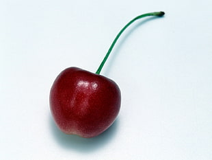 red cherry fruit HD wallpaper