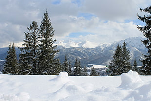 landscape photo of mount alps HD wallpaper