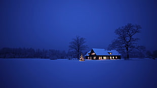 photo of cabin in the middle of snow covered field during nighttime