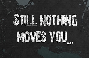 still nothing moves you text overlay, typography, paint splatter