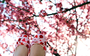 selective focus photography of pink-and-red heart print bow-accent shoes