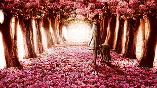 pink trees digital wallpaper, flowers, wolf